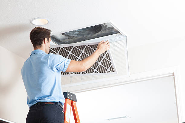Best Air Filters and Purifiers in Ferris, TX
